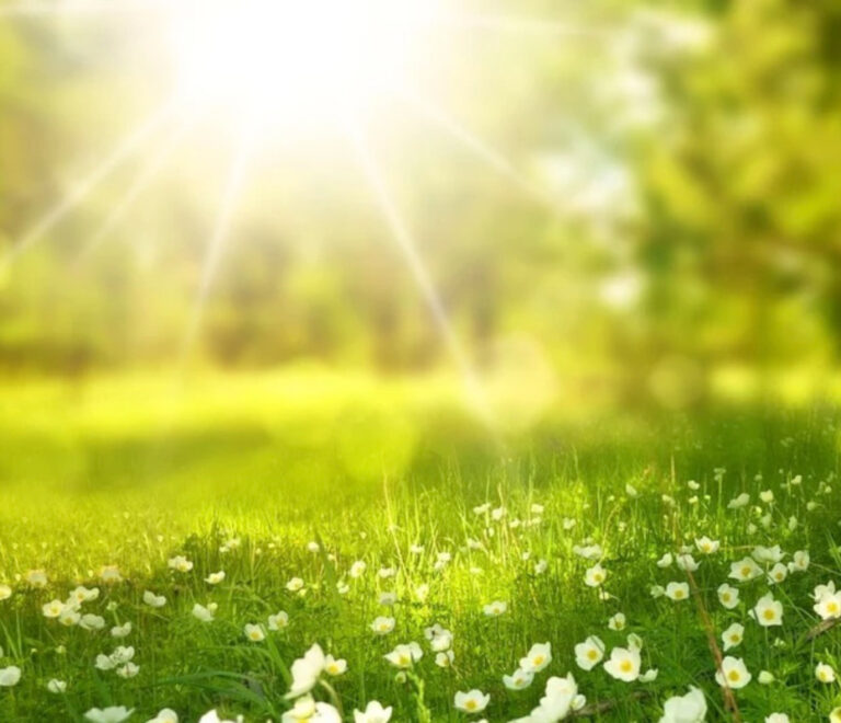 Sole in primavera: come proteggersi